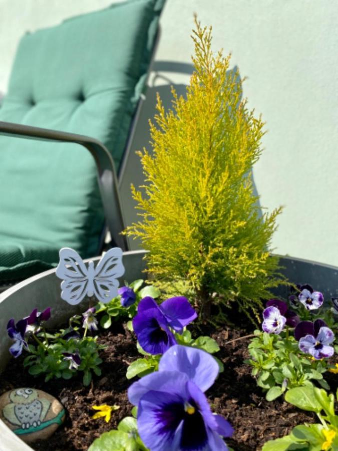Apartmany U Rybnicka Pribraz Exterior foto