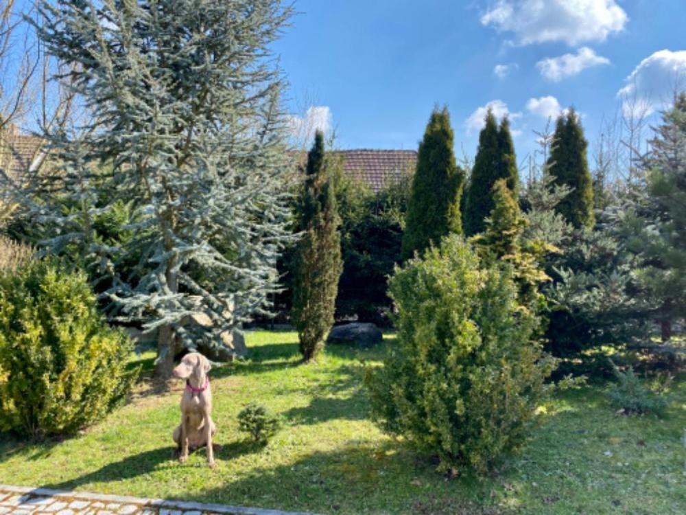 Apartmany U Rybnicka Pribraz Exterior foto